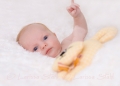 17 Babies 2011